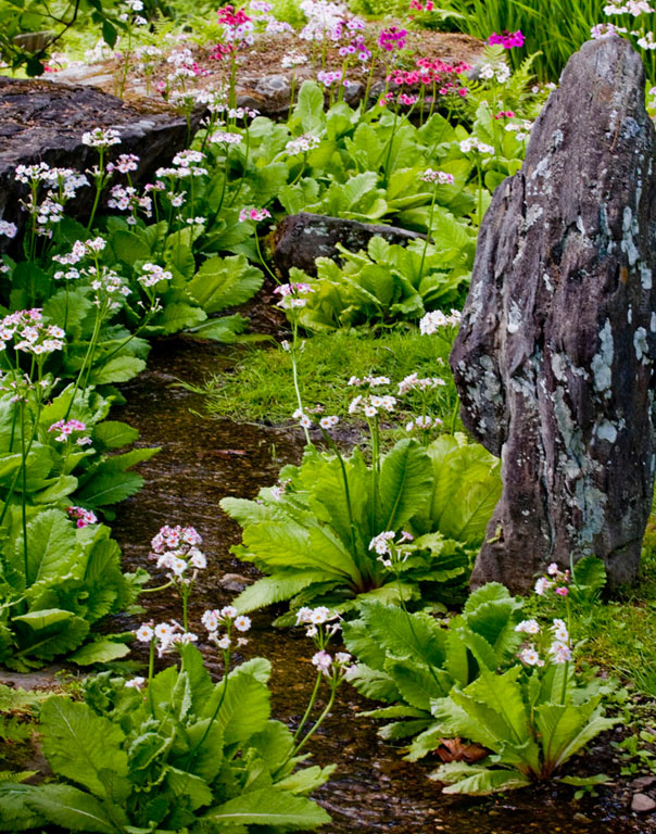 Garden best 1